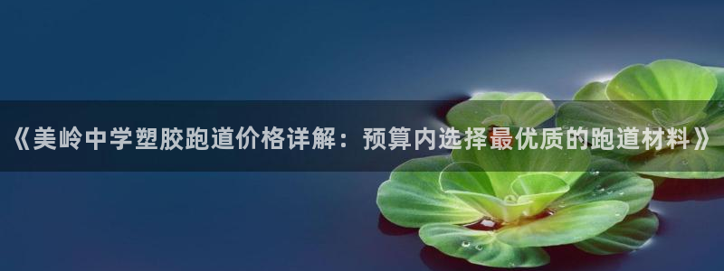 红足一1世开奖记录