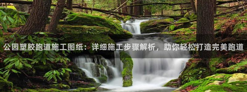 4633333开奖结果4176一点红