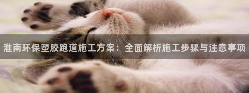 红足一1世66814新宝：淮南环保塑胶跑道施工方案：全面解析施工步骤与注意事项