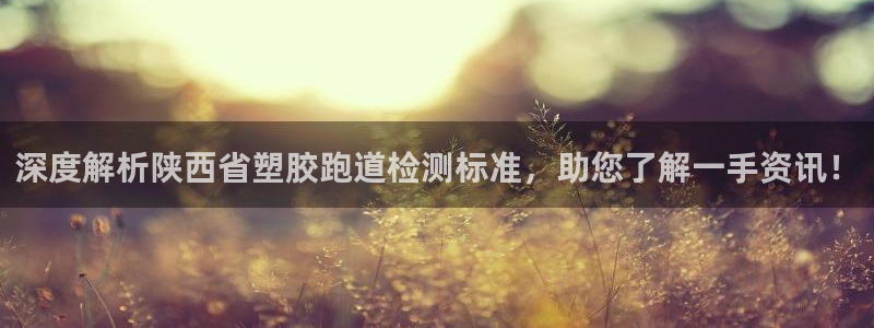 红足体育网：深度解析陕西省塑胶跑道检测标准，助您了解一手资讯！