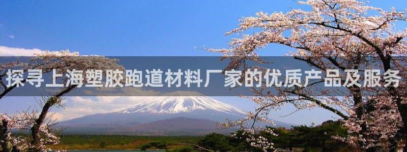 百度红足一1是干什么的：探寻上海塑胶跑道材料厂家的优质产品及服务