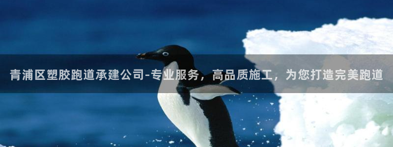 新2足球平台出租网站：青浦区塑胶跑道承建公司-专业服务，高品质施工，为您打造完美跑道