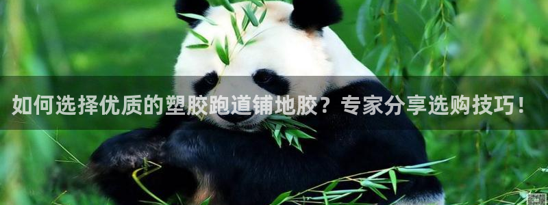 红足足球网：如何选择优质的塑胶跑道铺地胶？专家分享选购技巧！
