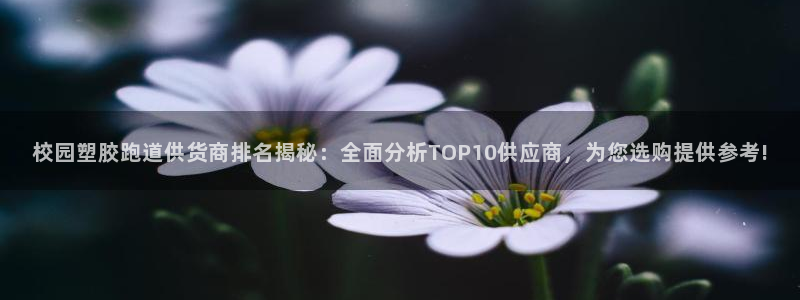 777814红·足一世比分篮球：校园塑胶跑道供货商排名揭秘：全面分析TOP10供应商，为您选购提供参考!