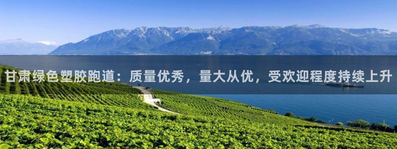 红足一1世平台：甘肃绿色塑胶跑道：质量优秀，量大从优，受欢迎程度持续上升