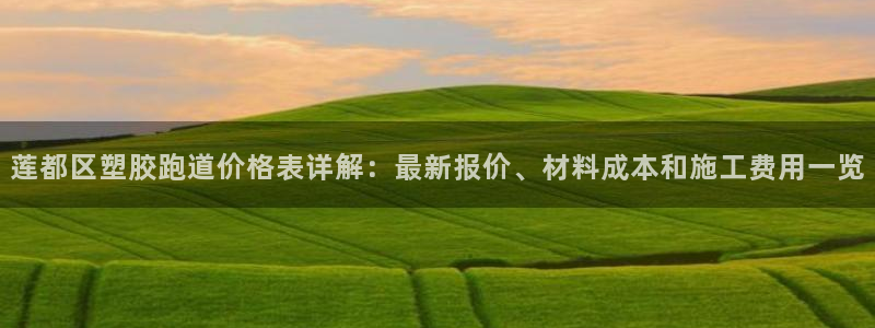 百度红足一1是干什么的：莲都区塑胶跑道价格表详解：最新报价、材料成本和施工费用一览