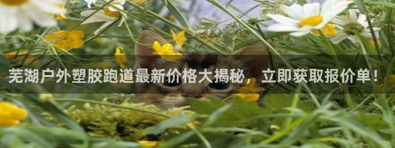 新2足球平台出租网站