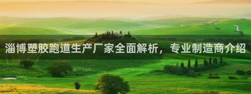 红足1世手机版下载：淄博塑胶跑道生产厂家全面解析，专业制造商介绍