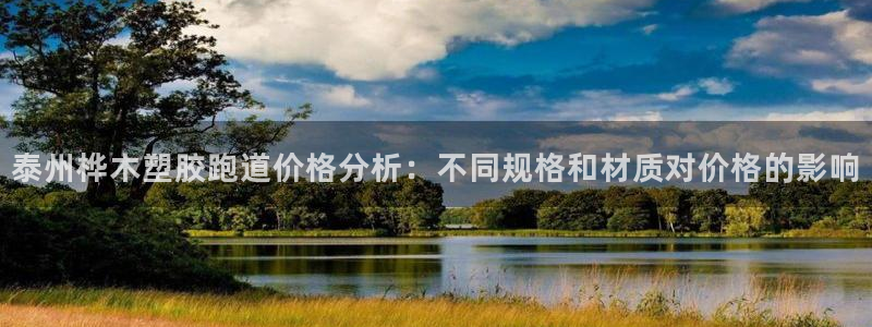 红足一1世：泰州桦木塑胶跑道价格分析：不同规格和材质对价格的影响