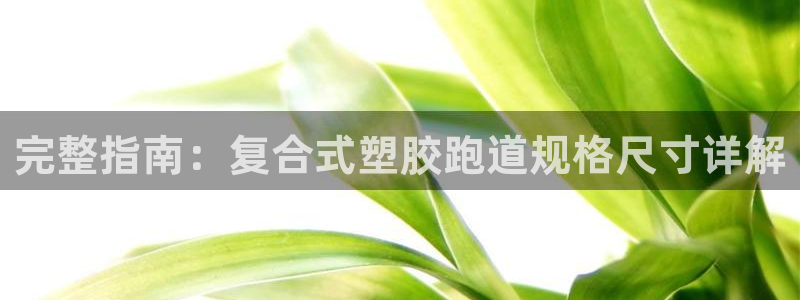 红足一丰：完整指南：复合式塑胶跑道规格尺寸详解