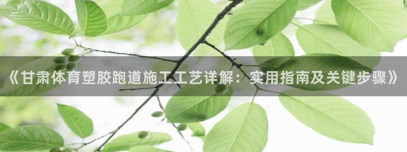 红足足球网：《甘肃体育塑胶跑道施工工艺详解：实用指南及关键步骤》