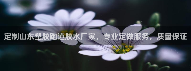 红足一生世：定制山东塑胶跑道胶水厂家，专业定做服务，质量保证