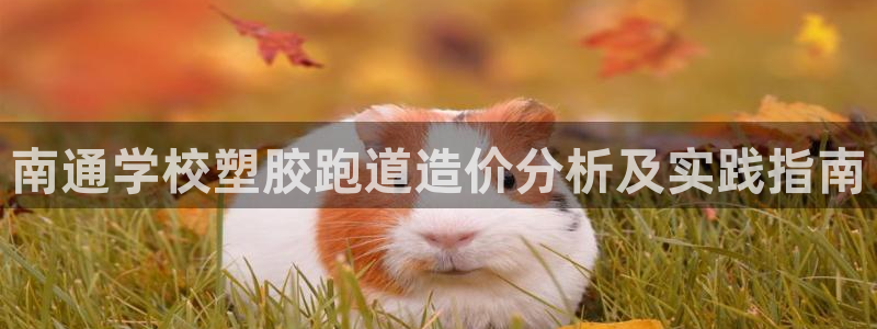红足i世足球手机网：南通学校塑胶跑道造价分析及实践指南