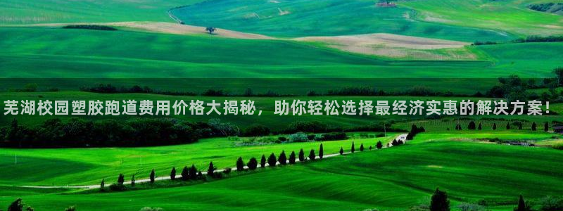 红足一1世666814足球：芜湖校园塑胶跑道费用价格大揭秘，助你轻松选择最经济实惠的解决方案！