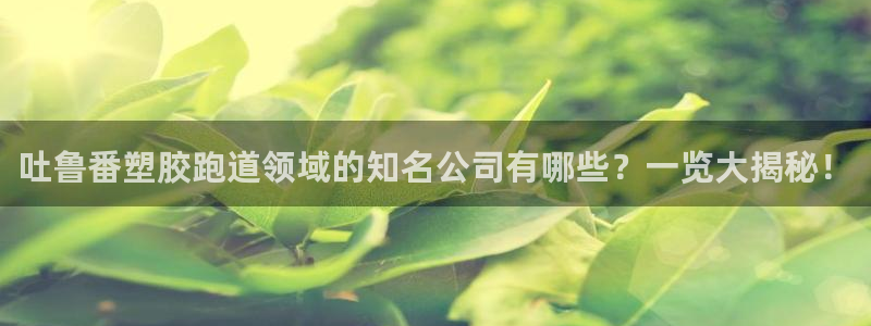 红足1世手机下载：吐鲁番塑胶跑道领域的知名公司有哪些？一览大揭秘！