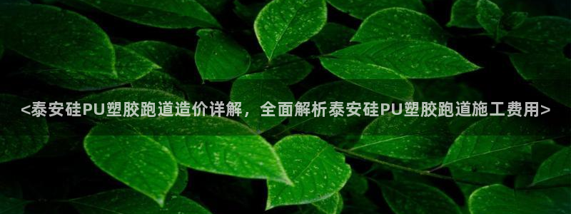 红足一1世比分球探：<泰安硅PU塑胶跑道造价详解，全面解析泰安硅PU塑胶跑道施工费用>