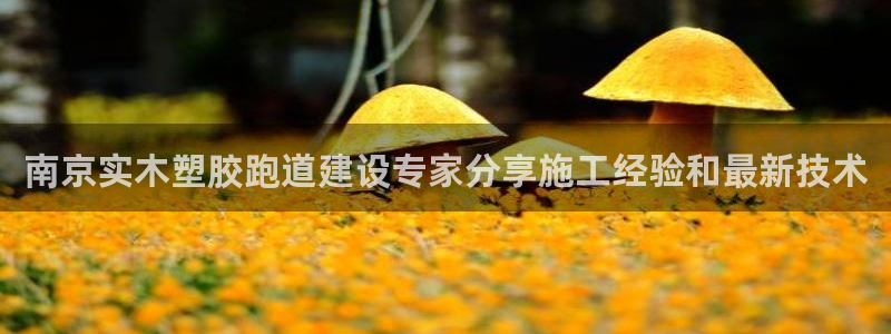 333814红·足一世比分：南京实木塑胶跑道建设专家分享施工经验和最新技术