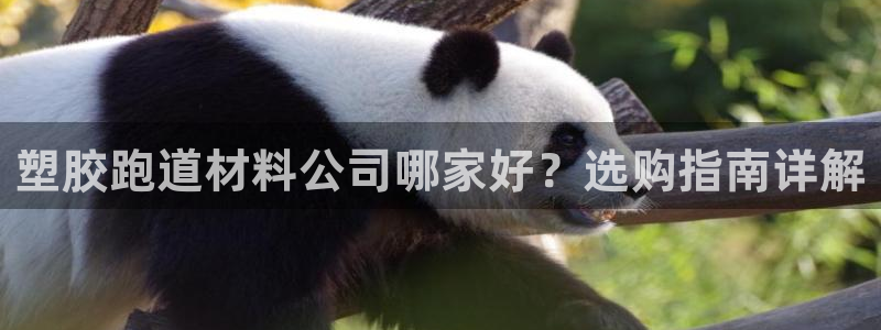 红足一1世77814：塑胶跑道材料公司哪家好？选购指南详解