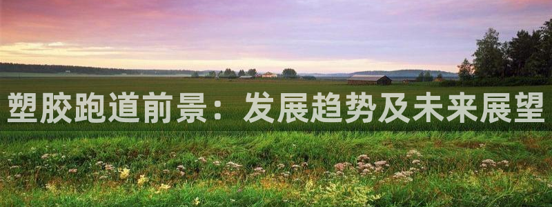 55814红足1世：塑胶跑道前景：发展趋势及未来展望