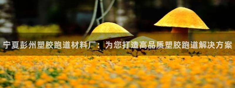 777814红·足一世比分：宁夏彭州塑胶跑道材料厂：为您打造高品质塑胶跑道解决方案