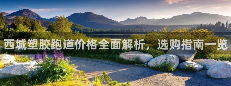 红足一1世皇冠登录：西城塑胶跑道价格全面解析，选购指南一览