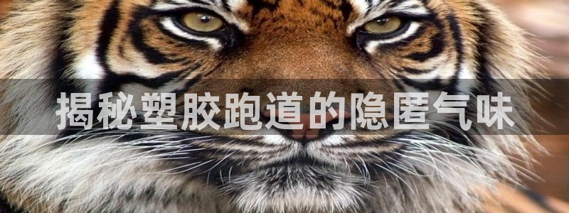 红足一1世官网足球推荐真人：揭秘塑胶跑道的隐匿气味