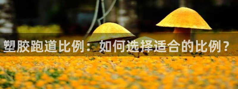 红足1一世足球手机：塑胶跑道比例：如何选择适合的比例？