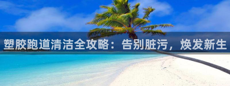 红足1世足球网址大全：塑胶跑道清洁全攻略：告别脏污，焕发新生