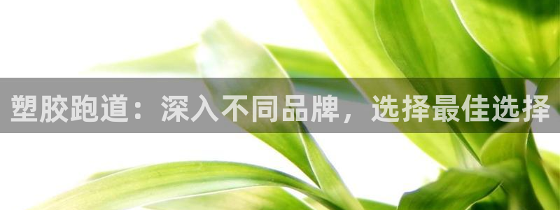 红足一一世：塑胶跑道：深入不同品牌，选择最佳选择