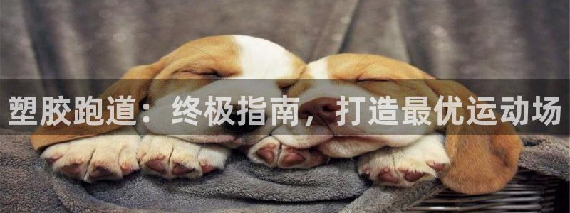 红足一：塑胶跑道：终极指南，打造最优运动场