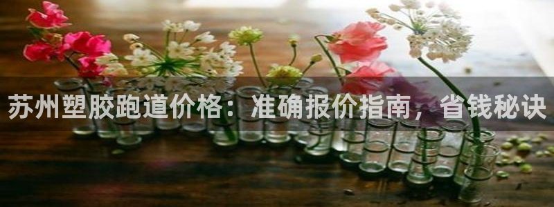 红足1一世 2站：苏州塑胶跑道价格：准确报价指南，省钱秘诀