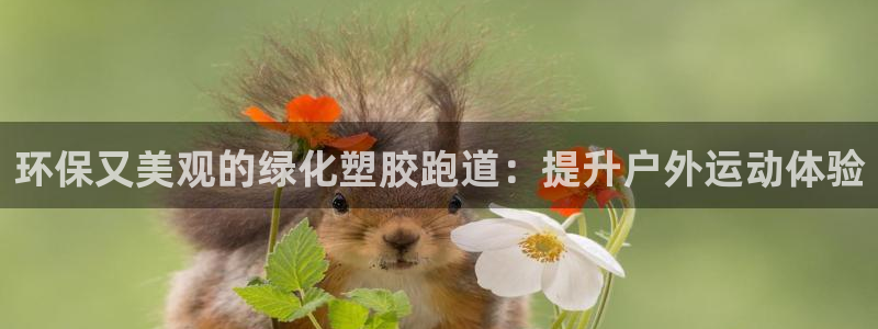 红足1世足球网址大全：环保又美观的绿化塑胶跑道：提升户外运动体验