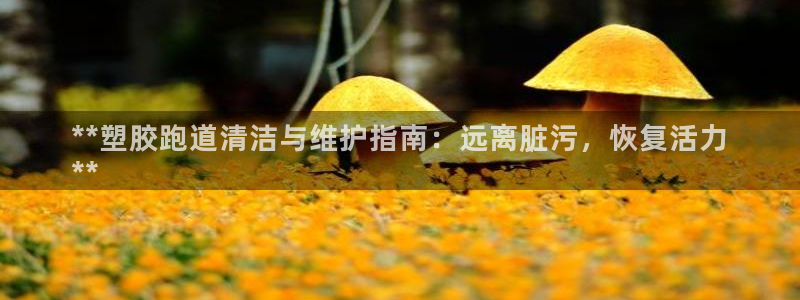 55814红足1世：**塑胶跑道清洁与维护指南：远离脏污，恢复活力
**