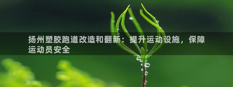 红足一1世平台：扬州塑胶跑道改造和翻新：提升运动设施，保障
运动员安全