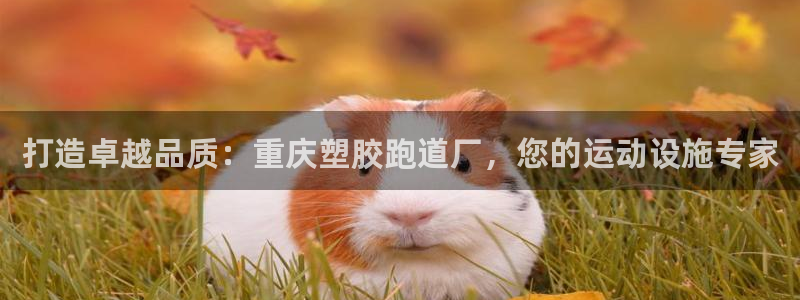 66814红足：打造卓越品质：重庆塑胶跑道厂，您的运动设施专家