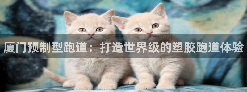 红足一1世66814新宝：厦门预制型跑道：打造世界级的塑胶跑道体验