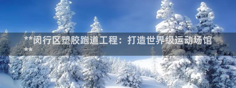 百度红足一1是为什么：**闵行区塑胶跑道工程：打造世界级运动场馆
**