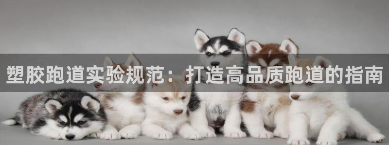 红足1世足球比分：塑胶跑道实验规范：打造高品质跑道的指南