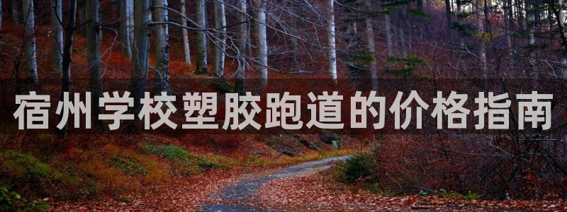 红足i世足球手机网：宿州学校塑胶跑道的价格指南