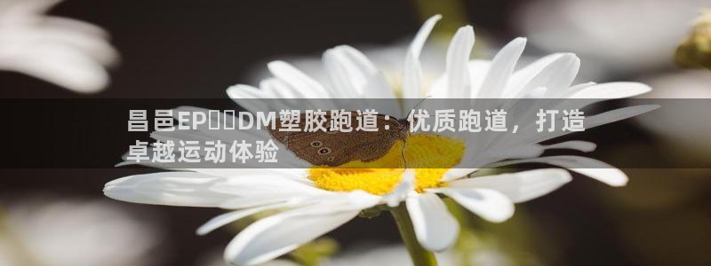 红足一1世官网比分：昌邑EP​​DM塑胶跑道：优质跑道，打造
卓越运动体验