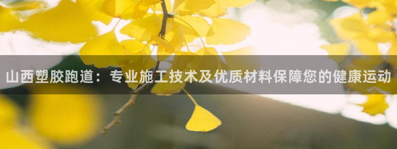 红足一1世手机版赛果：山西塑胶跑道：专业施工技术及优质材料保障您的健康运动