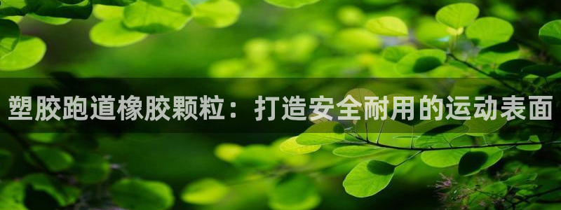 红足一1世官网比分