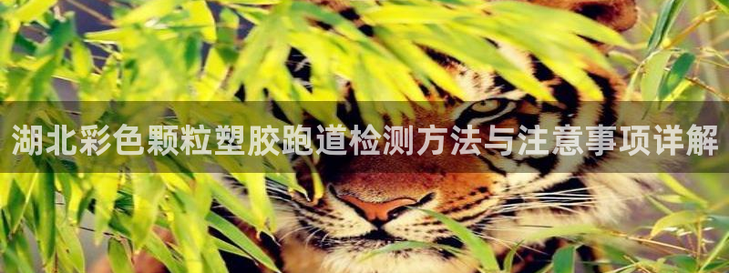 百度红足一1是干什么的：湖北彩色颗粒塑胶跑道检测方法与注意事项详解