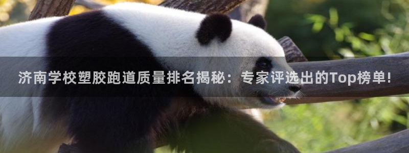 红足一一世足球网开奖记录：济南学校塑胶跑道质量排名揭秘：专家评选出的Top榜单!