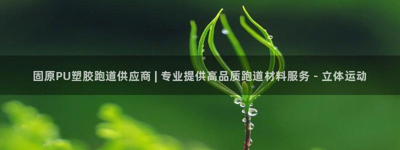 777814红·足一世比分篮球：固原PU塑胶跑道供应商 | 专业提供高品质跑道材料服务 - 立体运动