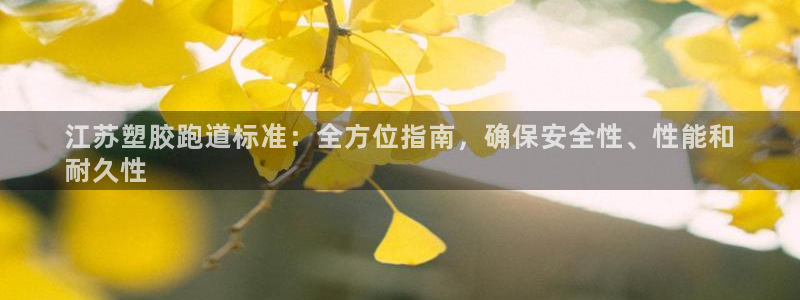 红足一1世77814：江苏塑胶跑道标准：全方位指南，确保安全性、性能和
耐久性