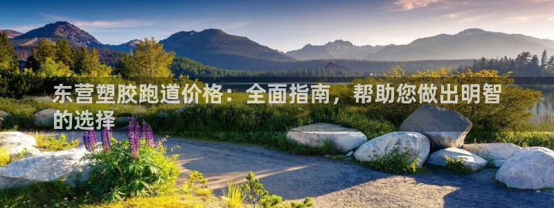 红足一1世皇冠地址：东营塑胶跑道价格：全面指南，帮助您做出明智
的选择
