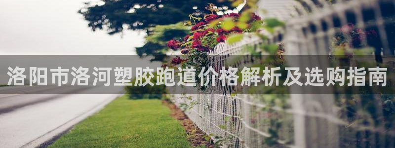 红足一1世比分球探：洛阳市洛河塑胶跑道价格解析及选购指南