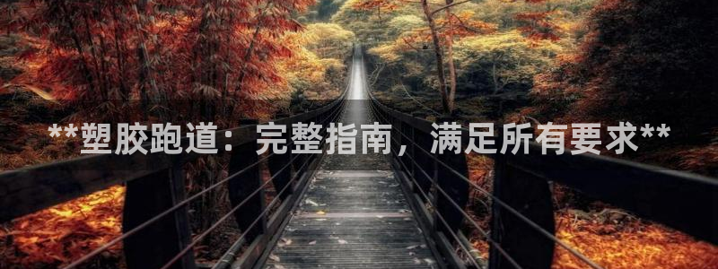 红足网足球直播：**塑胶跑道：完整指南，满足所有要求**