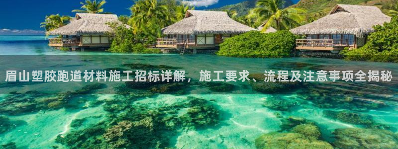 红足1世足球网址大全